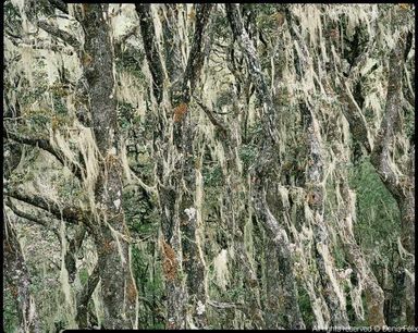 Photo du post "Un voyage là-bas" de Thierry Casters